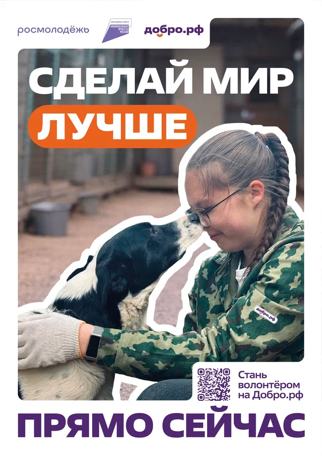 11-01.jpg 11-01.jpg