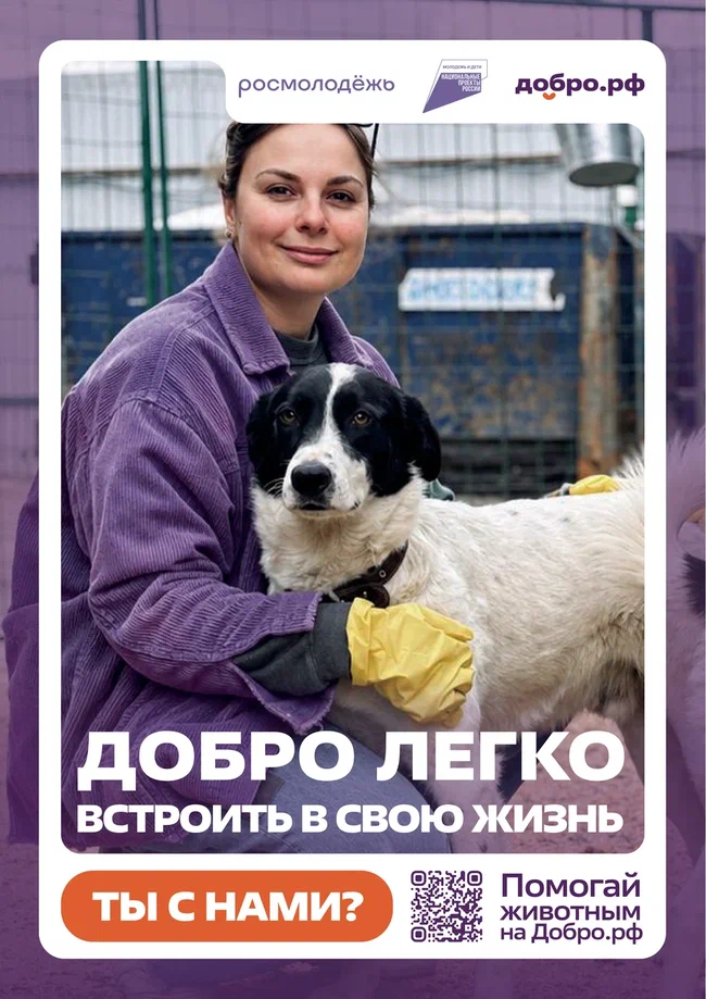 плакаты3-01.jpg плакаты3-01.jpg